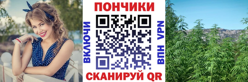 купить закладку Кирово-Чепецк Шишки марихуана OG Kush